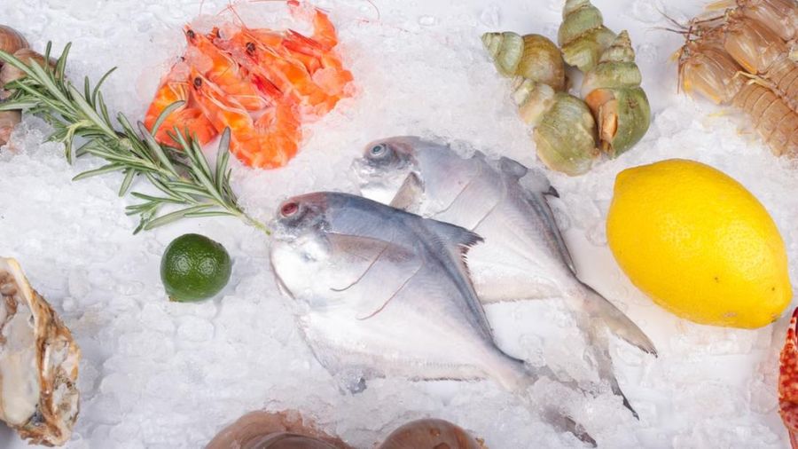 Seafood