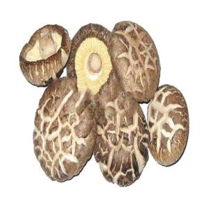 靚 TA+1 冬菇 DRY MUSHROOM, 20KGX1