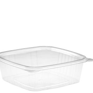 HRTG48-C CLEAR HINGED CONTAINER, 200X1