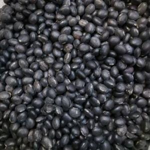 青仁烏豆 BLACK BEAN, 55LBX1